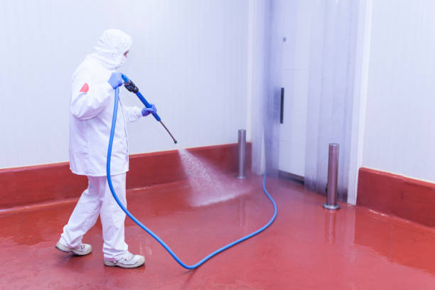 Best Winterizing Services  in Hughes Springs, TX