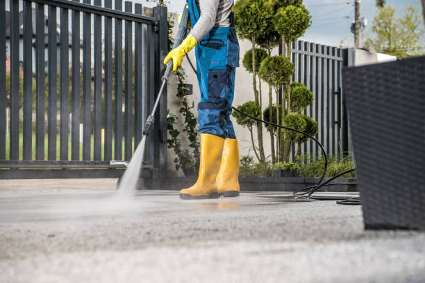 Best Roof Washing  in Hughes Springs, TX